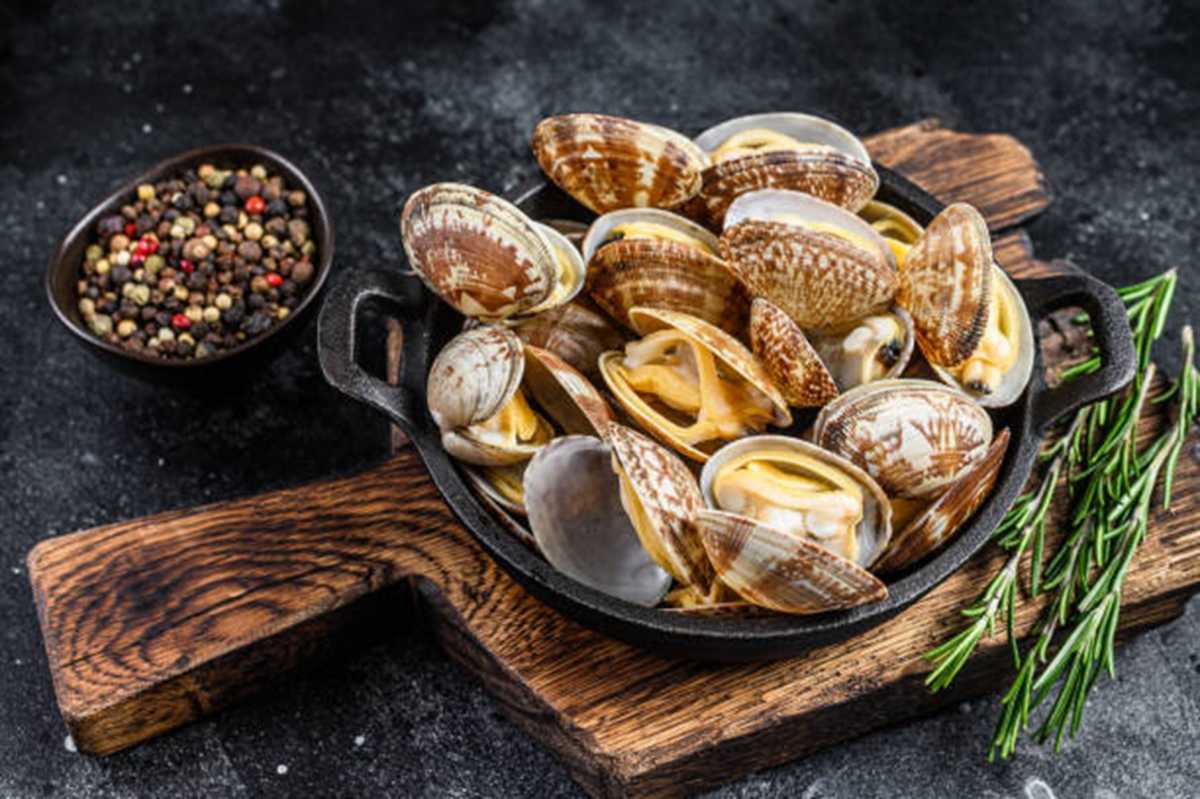 Clams
