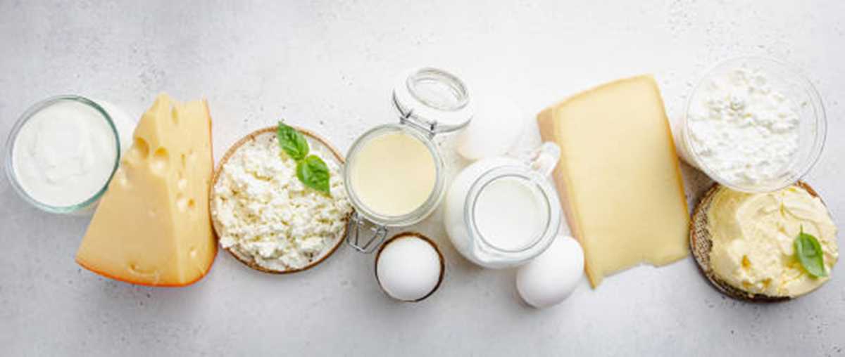 Dairy Products