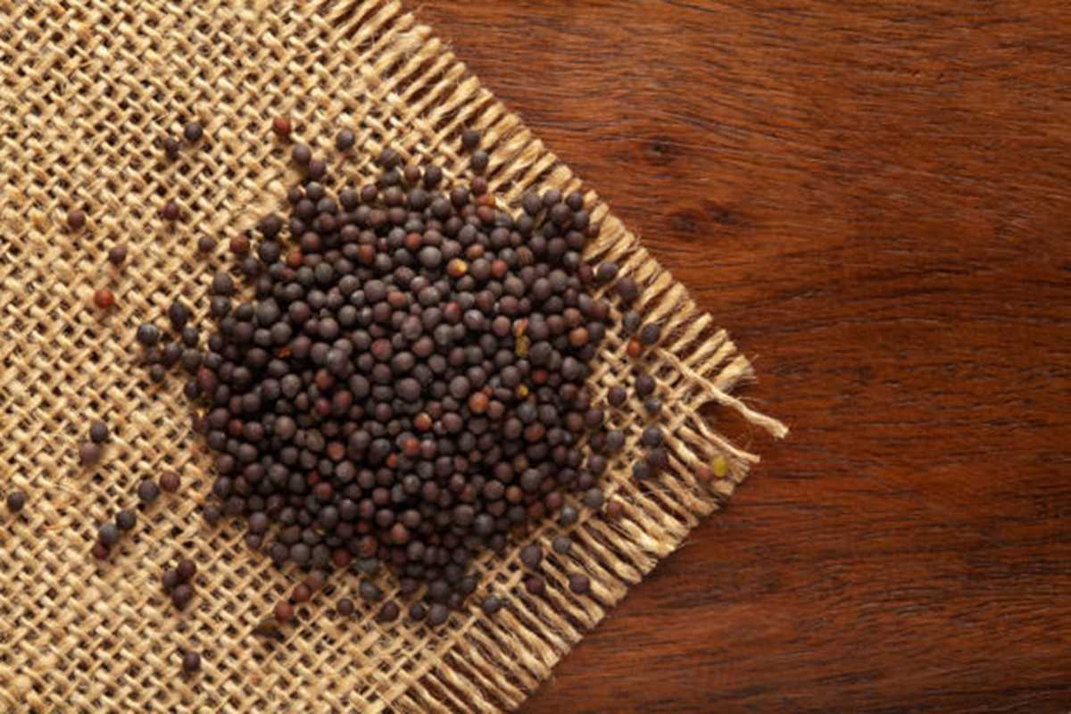 Mustard Seeds