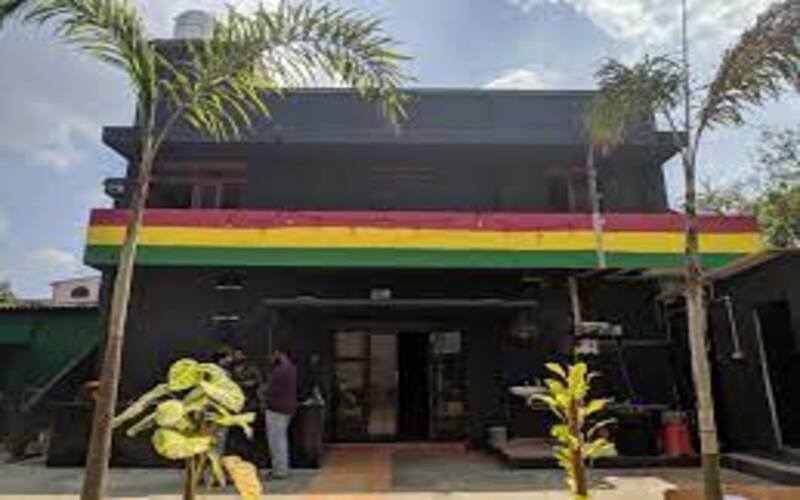 reggae-the-music-cafe reggae-the-music-cafe