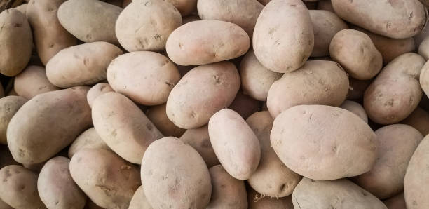 Potatoes vegetable