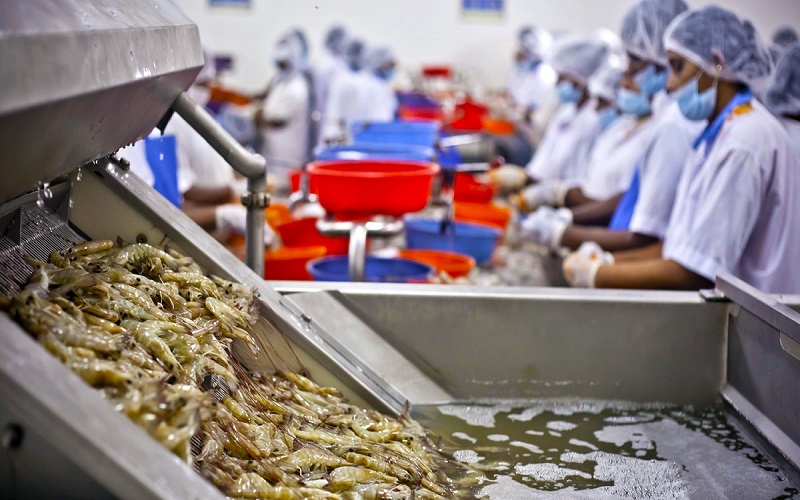 choice-canning-company
