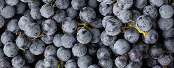 grapes