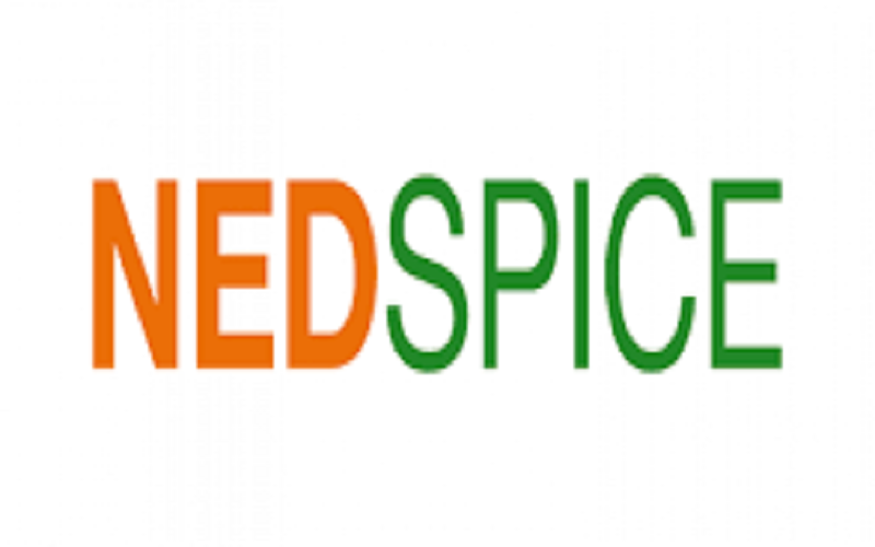nedspice