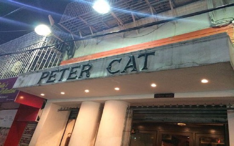 peter-cat peter-cat