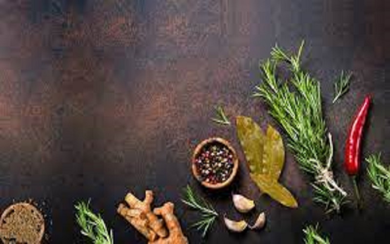 plant-lipids