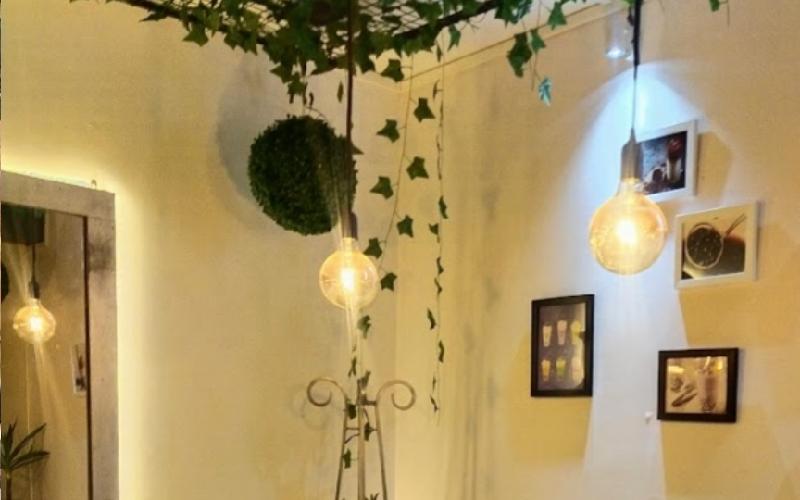 the-boba-tree