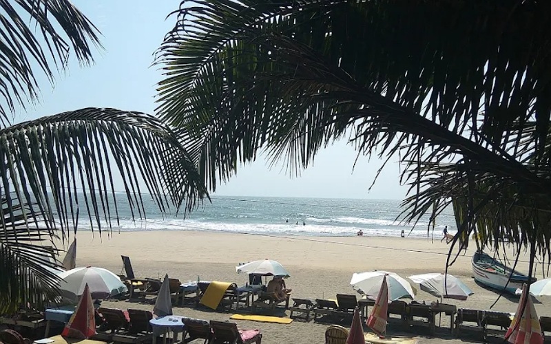 Mango Tree Bar Restaurant