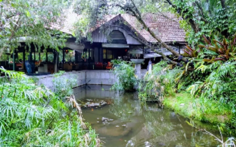 The Rain Tree Restaurant