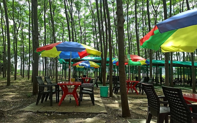 The Tree Cafe And Restaurant