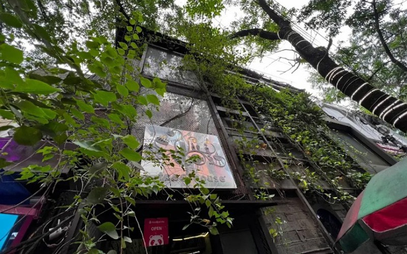 Tree House Restaurant