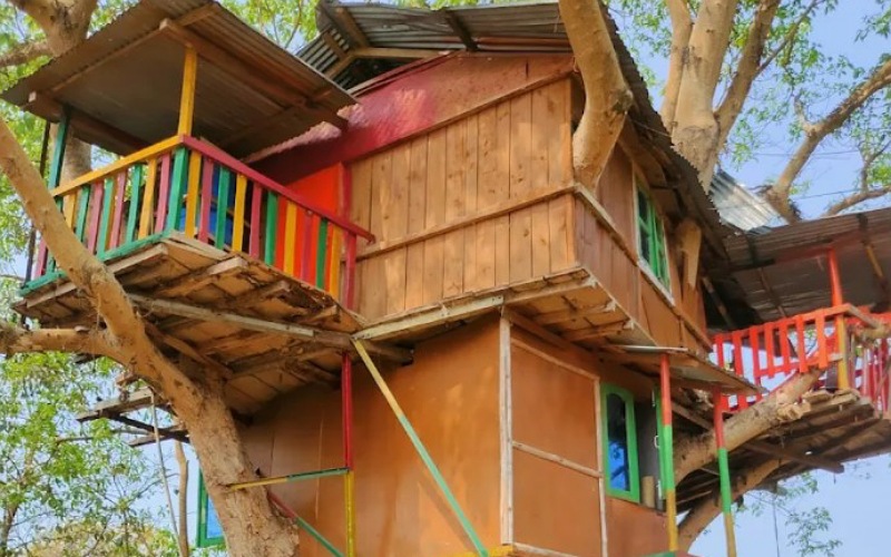 Tree House Restaurant Dimakuchi