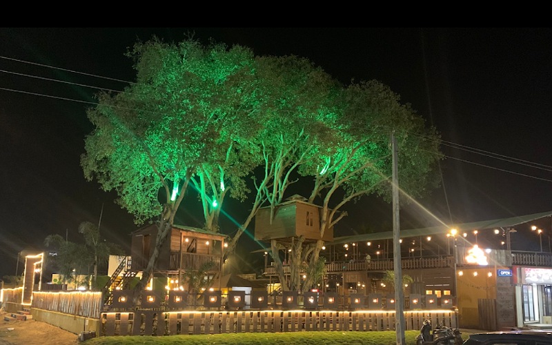 Tree-Hut Multi Cuisine Restaurant