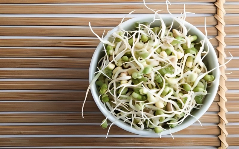 bean-sprouts bean-sprouts