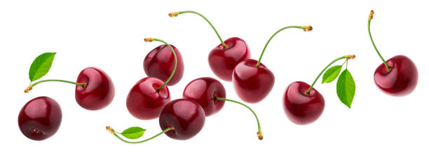 cherry