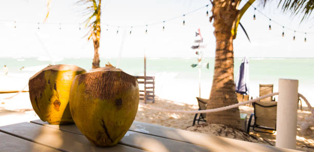 Two coconuts full of fresh coconut water are served on a table in a beach bar.