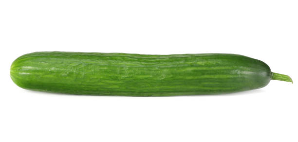one fresh cucumbers isolated on white background