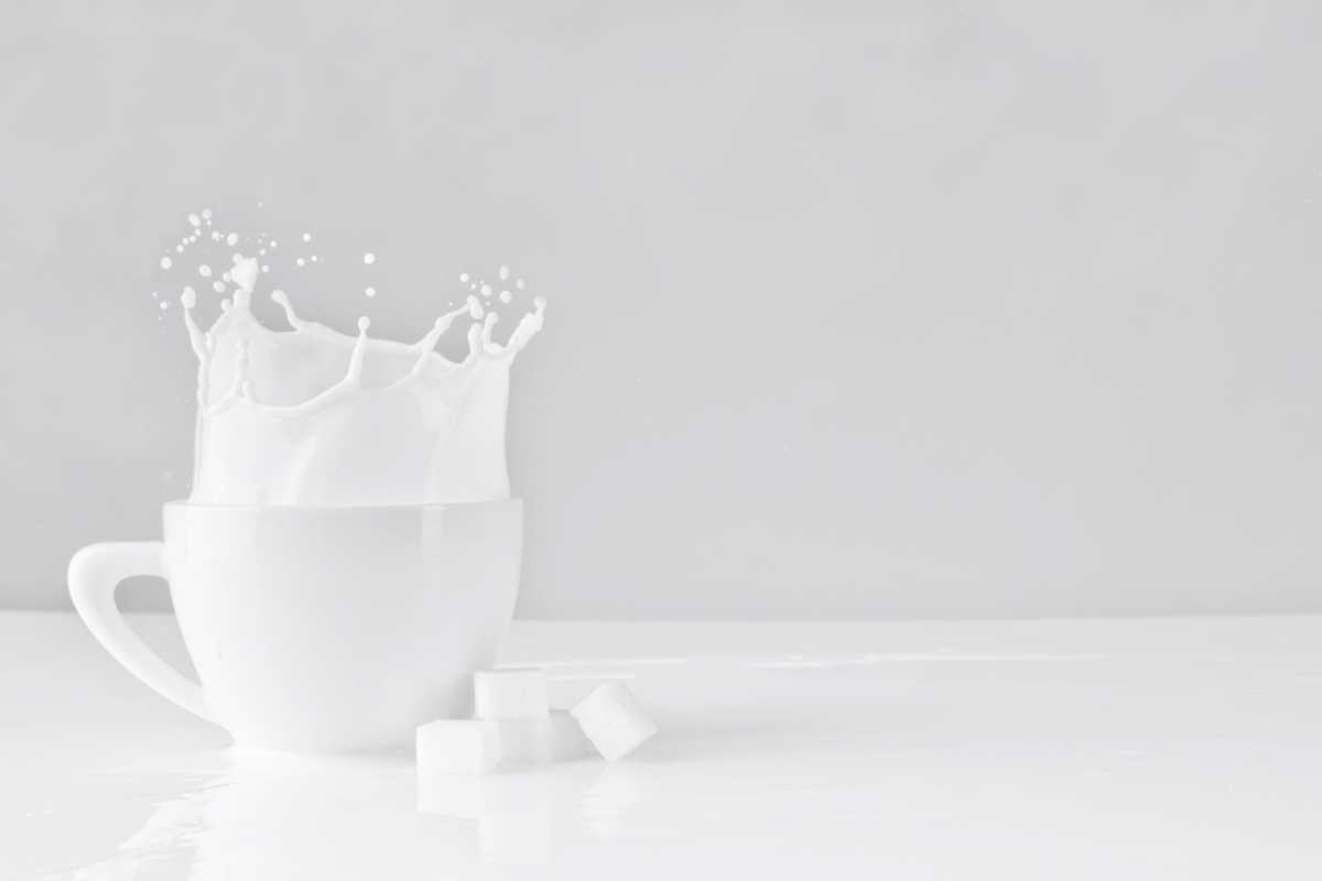 dairy-products dairy-products