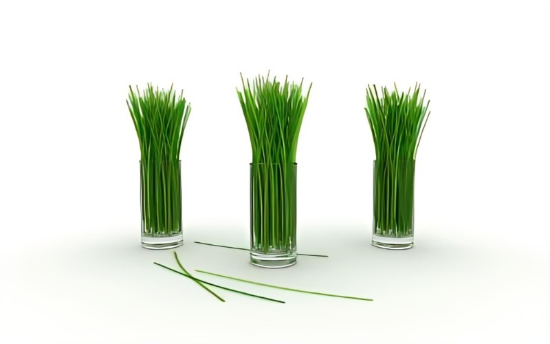 lemongrass lemongrass