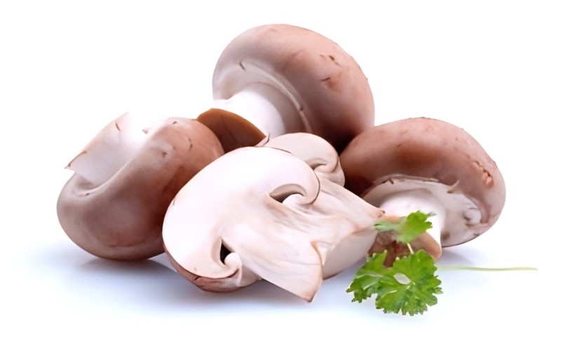 mushrooms mushrooms