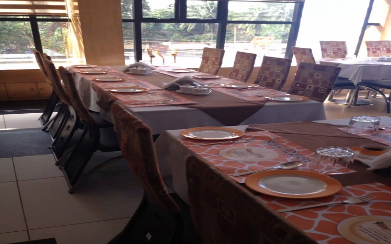 tangerine-9