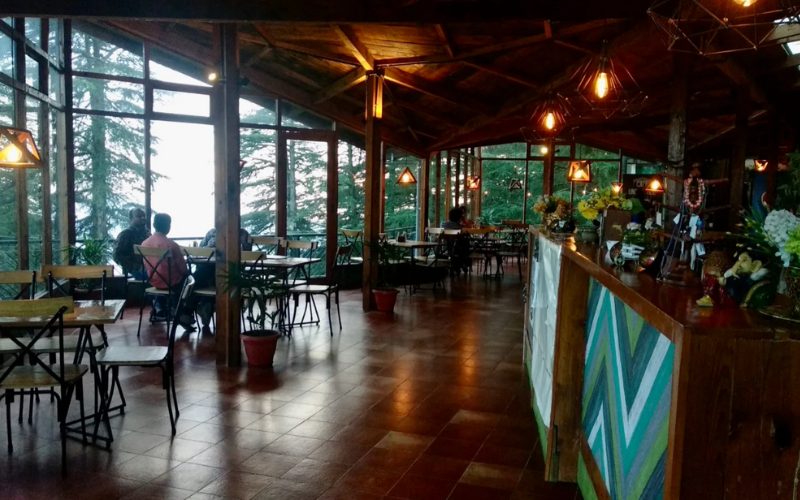 the-cafe-under-the-tree