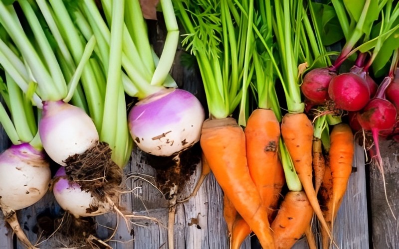 turnips turnips