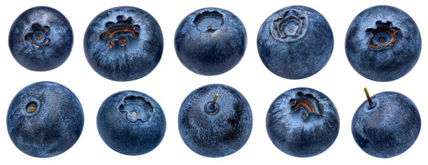 Blueberry isolated on white background with clipping path. Full depth of field