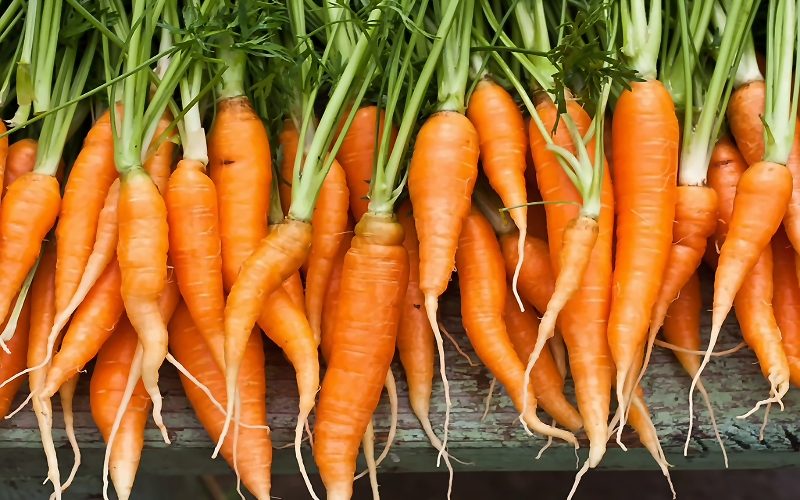 carrots