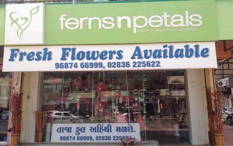 ferns-n-petals ferns-n-petals