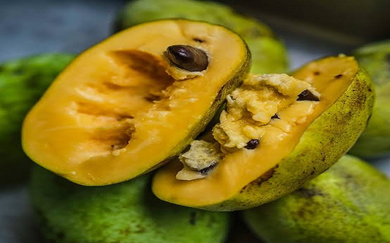 pawpaw pawpaw