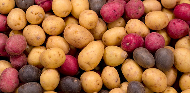 Small baby potatoes in farmers market. Selective focus used.