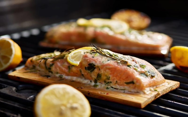 salmon