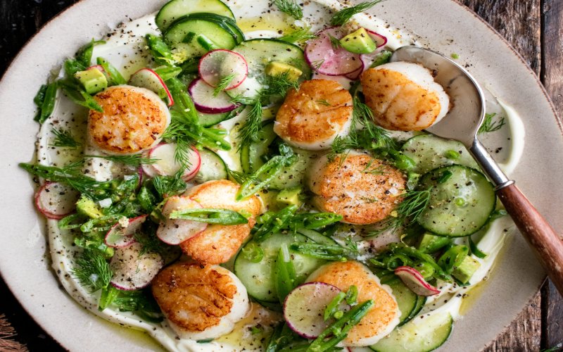 seared-scallop-salad