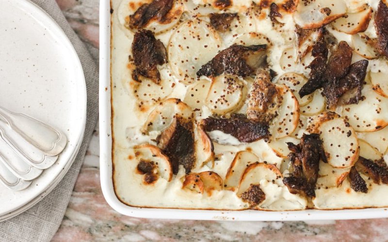 smoked-mackerel-gratin