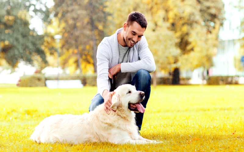 spend-time-with-a-pet