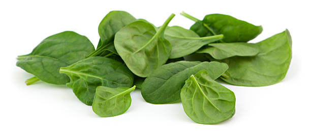 Baby spinach leaves on white background.