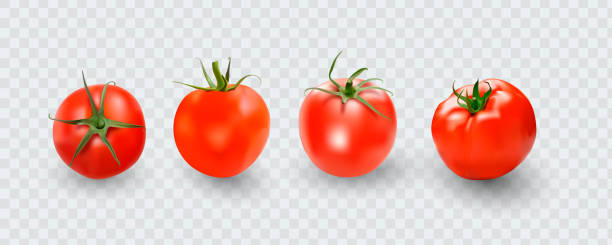 tomato