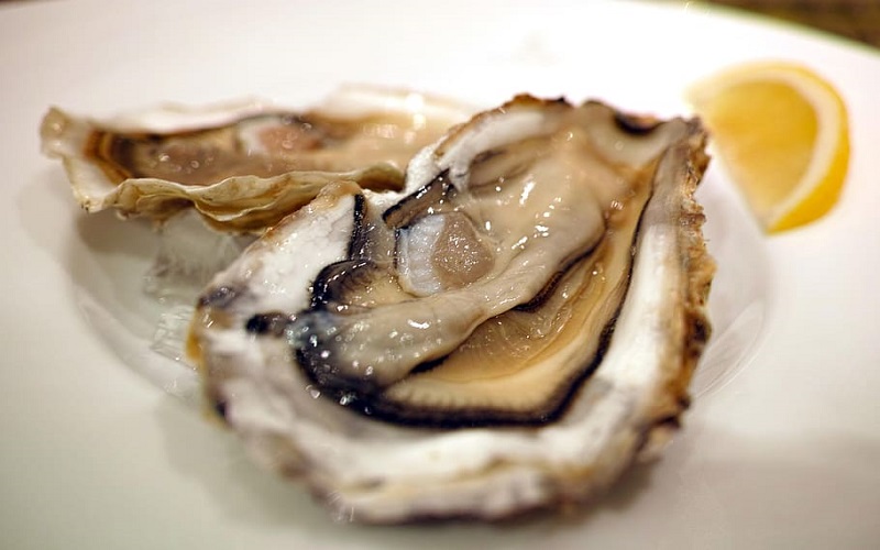 oysters