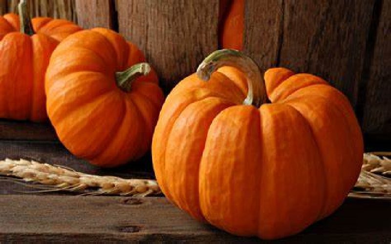 pumpkin
