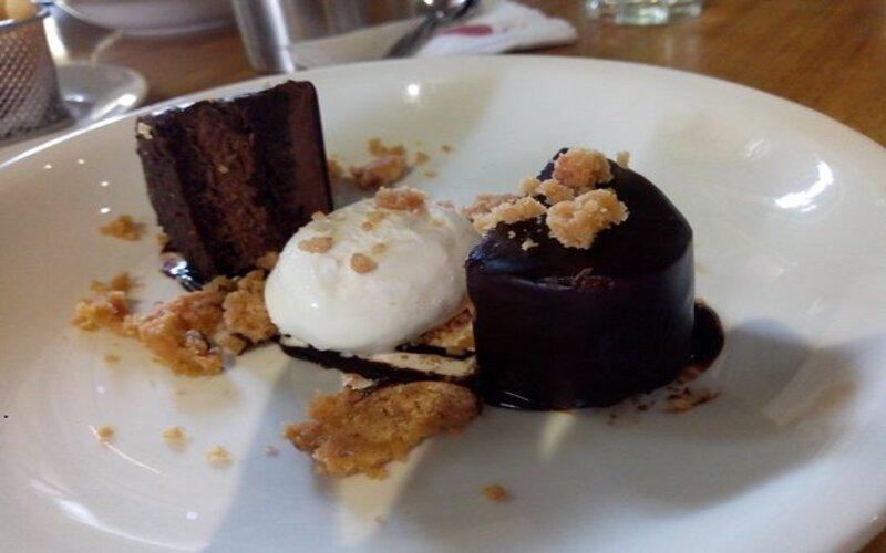 sandys-chocolate-laboratory