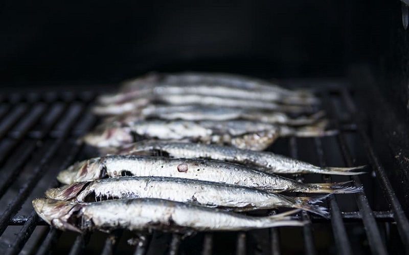 sardines