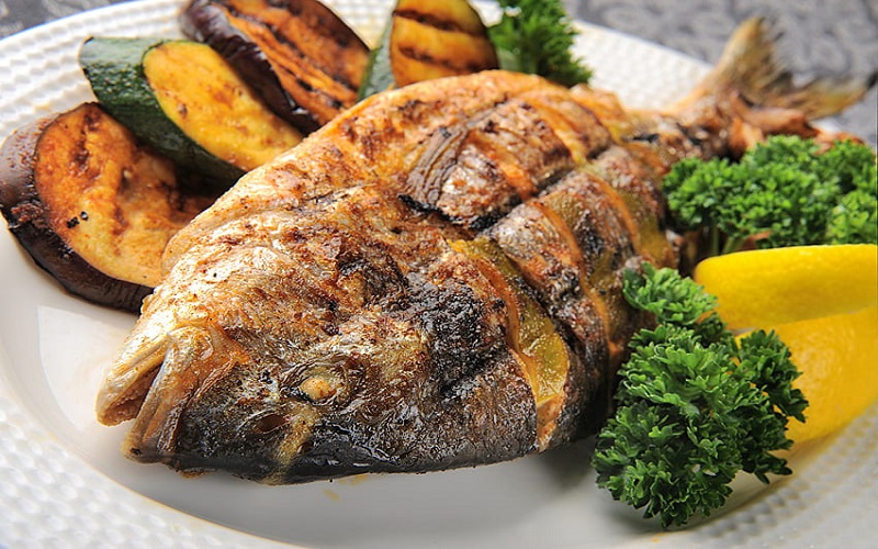 tilapia