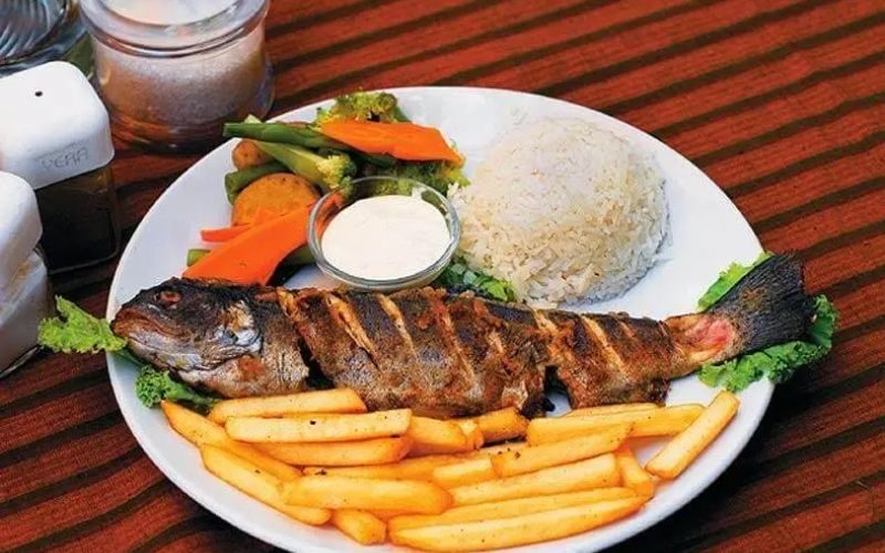 trout-fish
