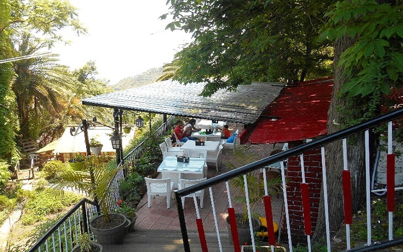 cafe-tea-totaler