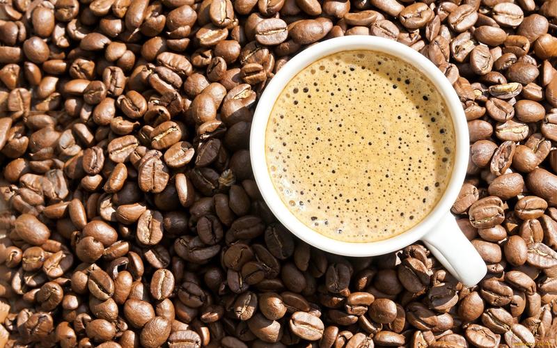 mud-koffee