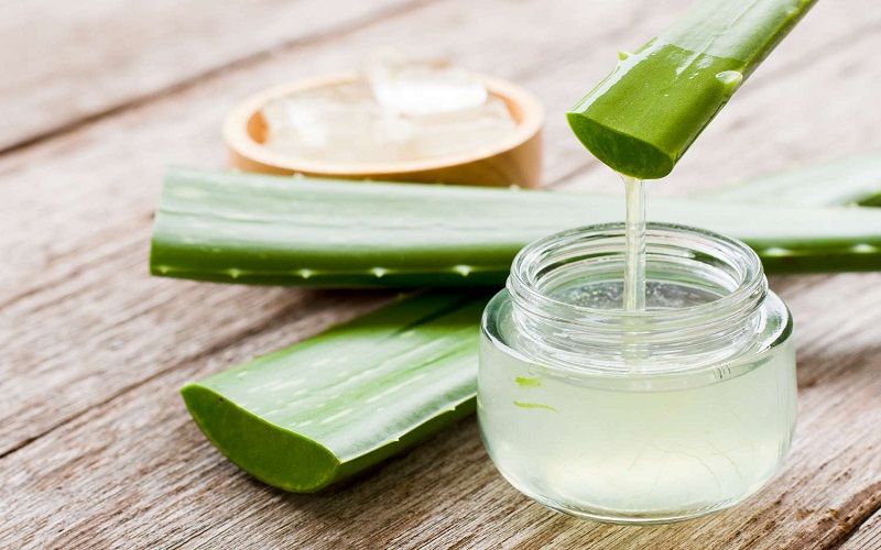 aloe-vera aloe-vera
