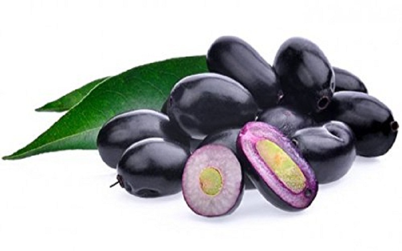 indian-blackberry indian-blackberry