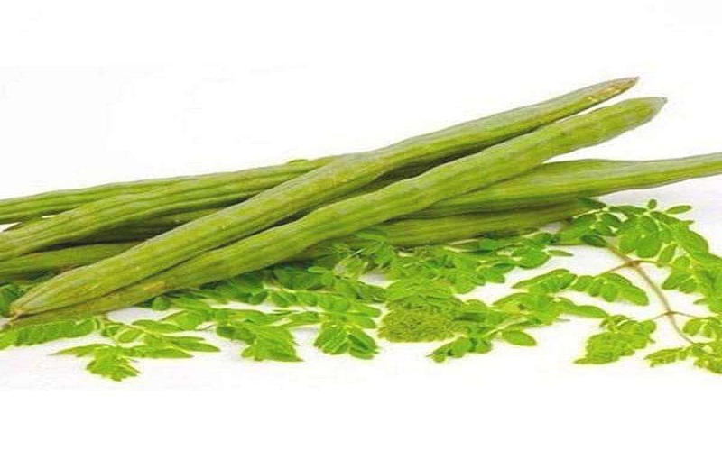 indian-moringa indian-moringa