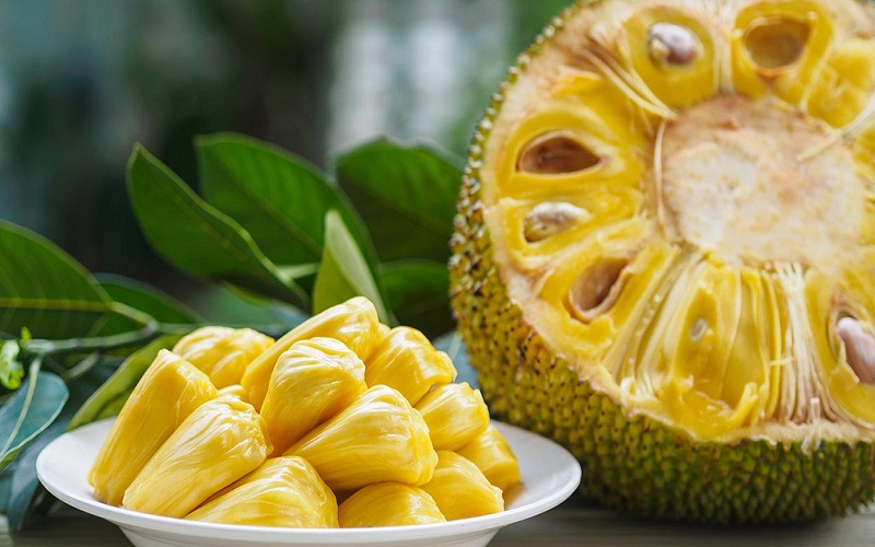 jackfruit jackfruit